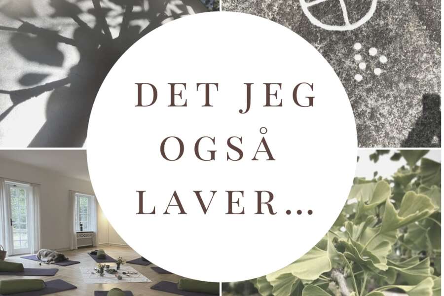 Det jeg også laver